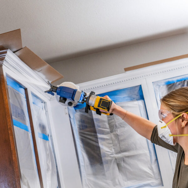 Graco Cordless connect airless paint sprayer