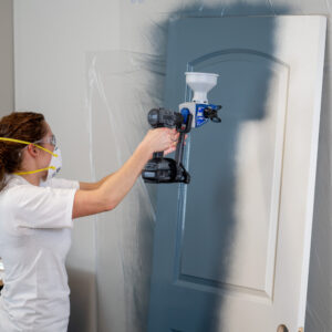 Graco Cordless connect airless paint sprayer